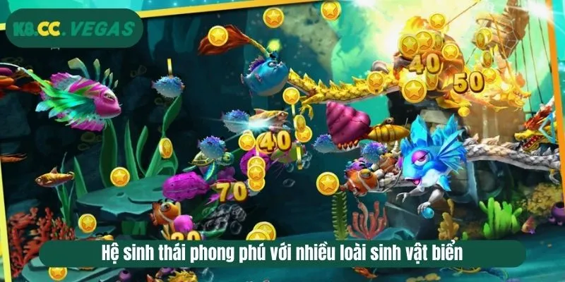 Hệ sinh thái phong phú với nhiều loài sinh vật biển